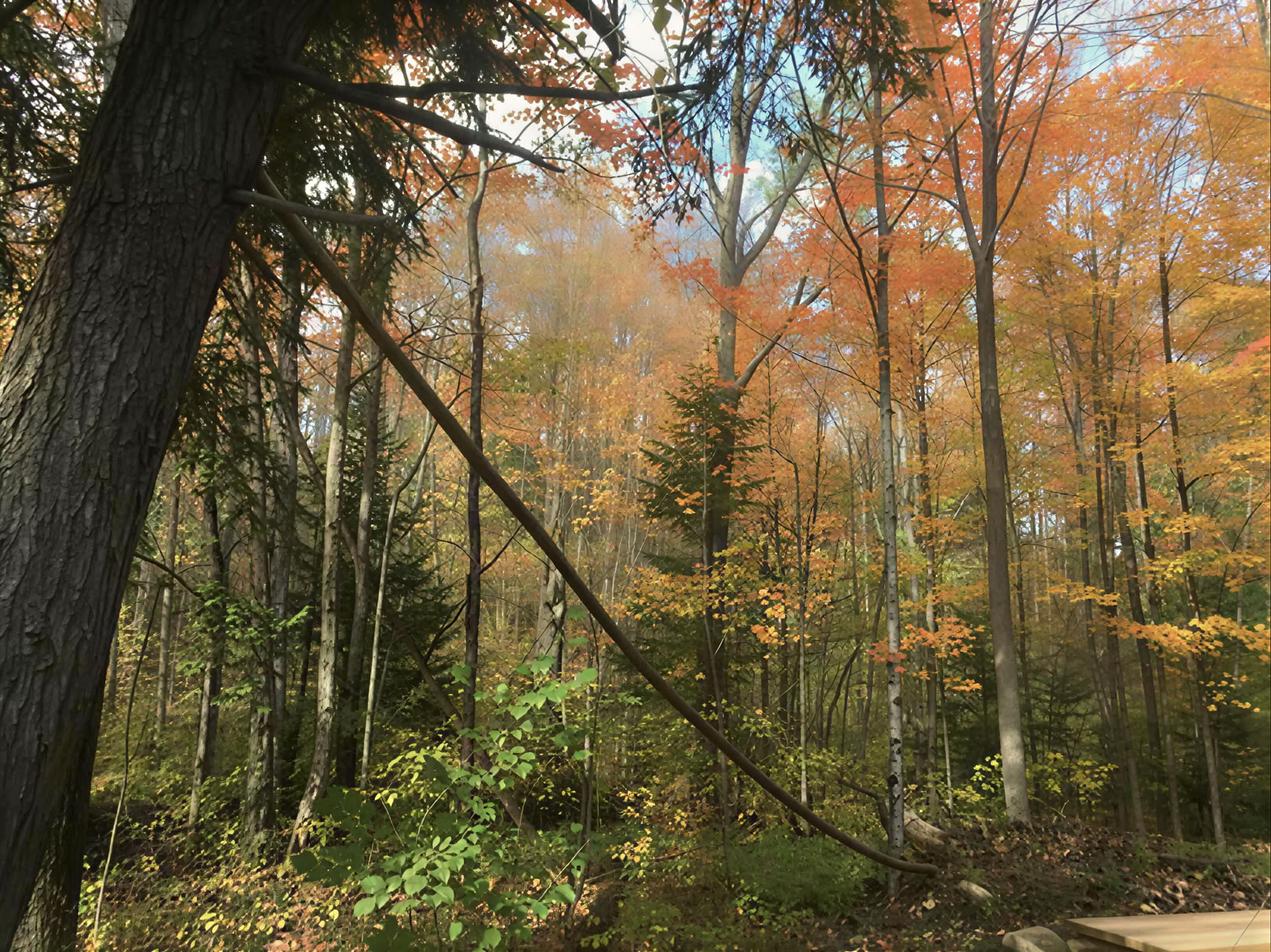 Yoga en pleine nature en autonomie