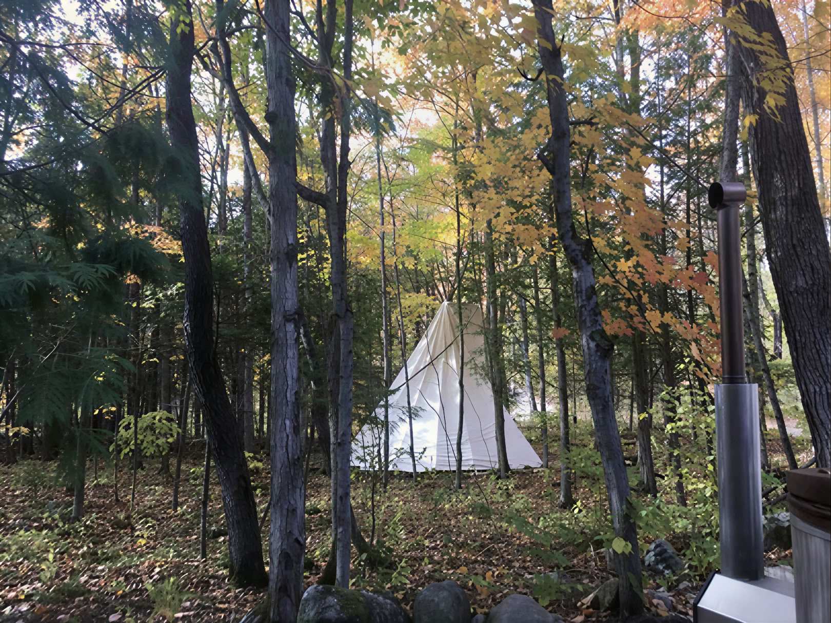 Yoga guidé en pleine nature
