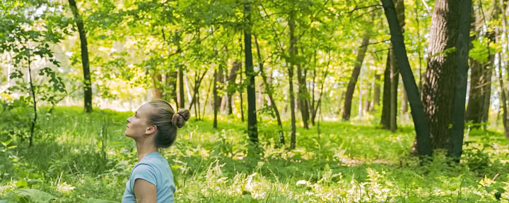 Yoga guidé en pleine nature
