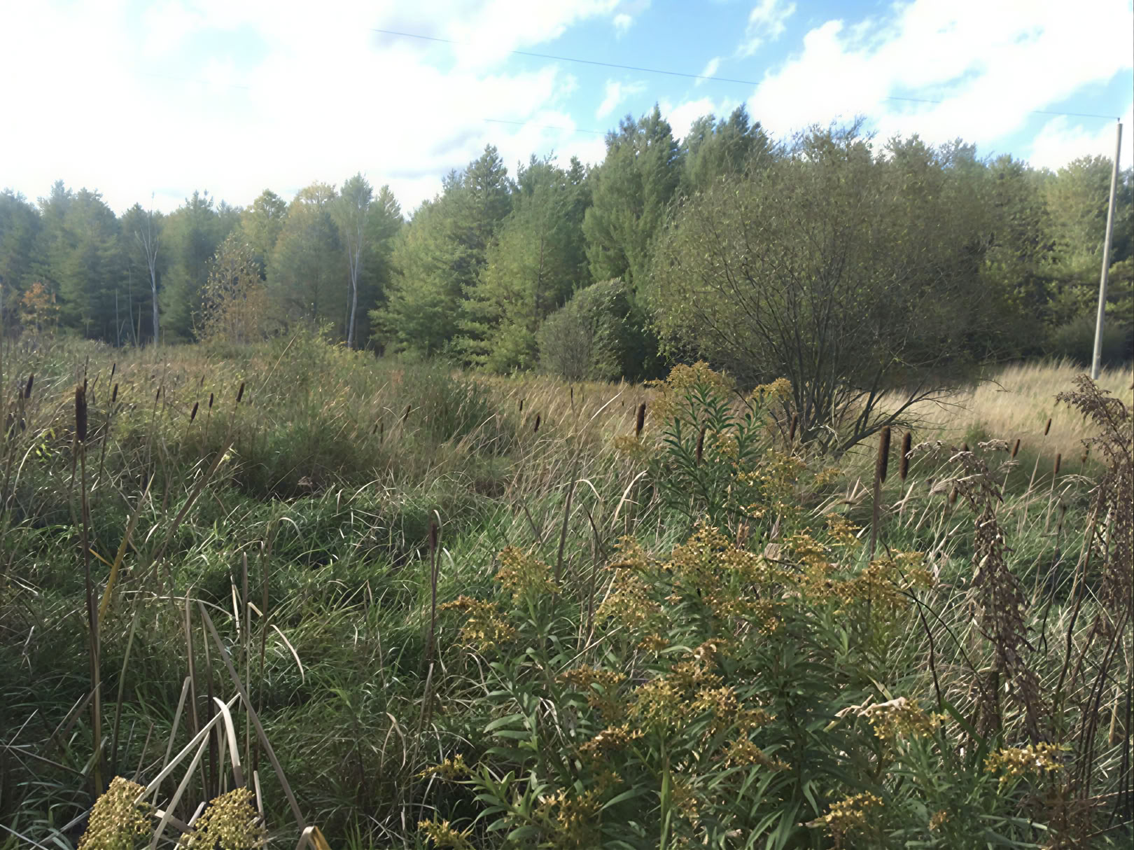 Canoë