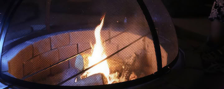 Bain de forêt