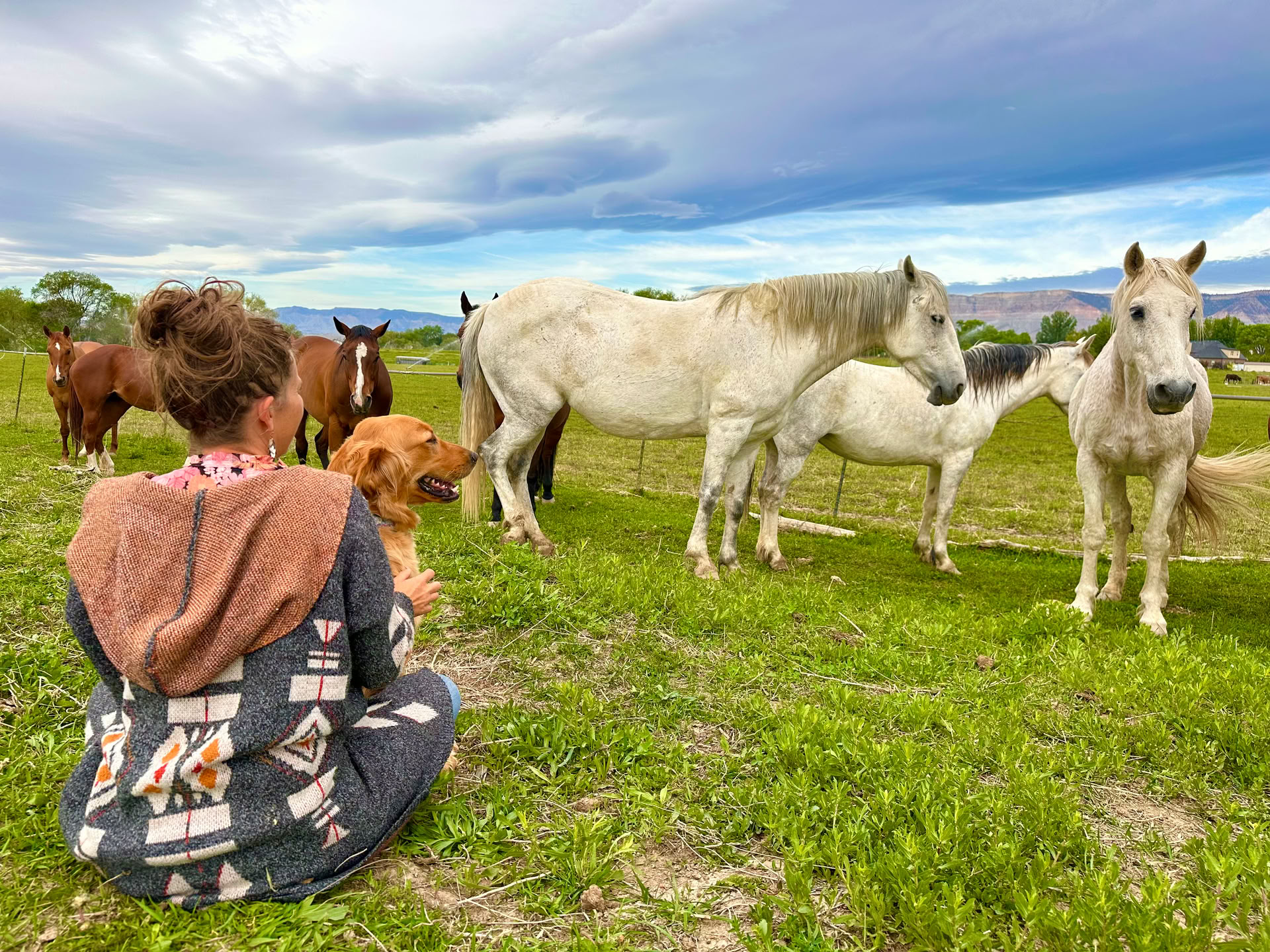 Cœurs et chevaux pour les femmes