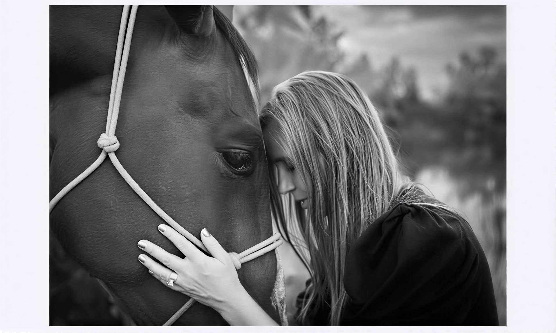 Cœurs et chevaux pour les femmes