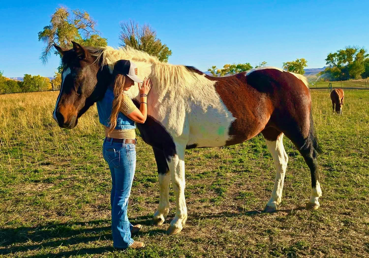 Retraite Cœurs et Chevaux