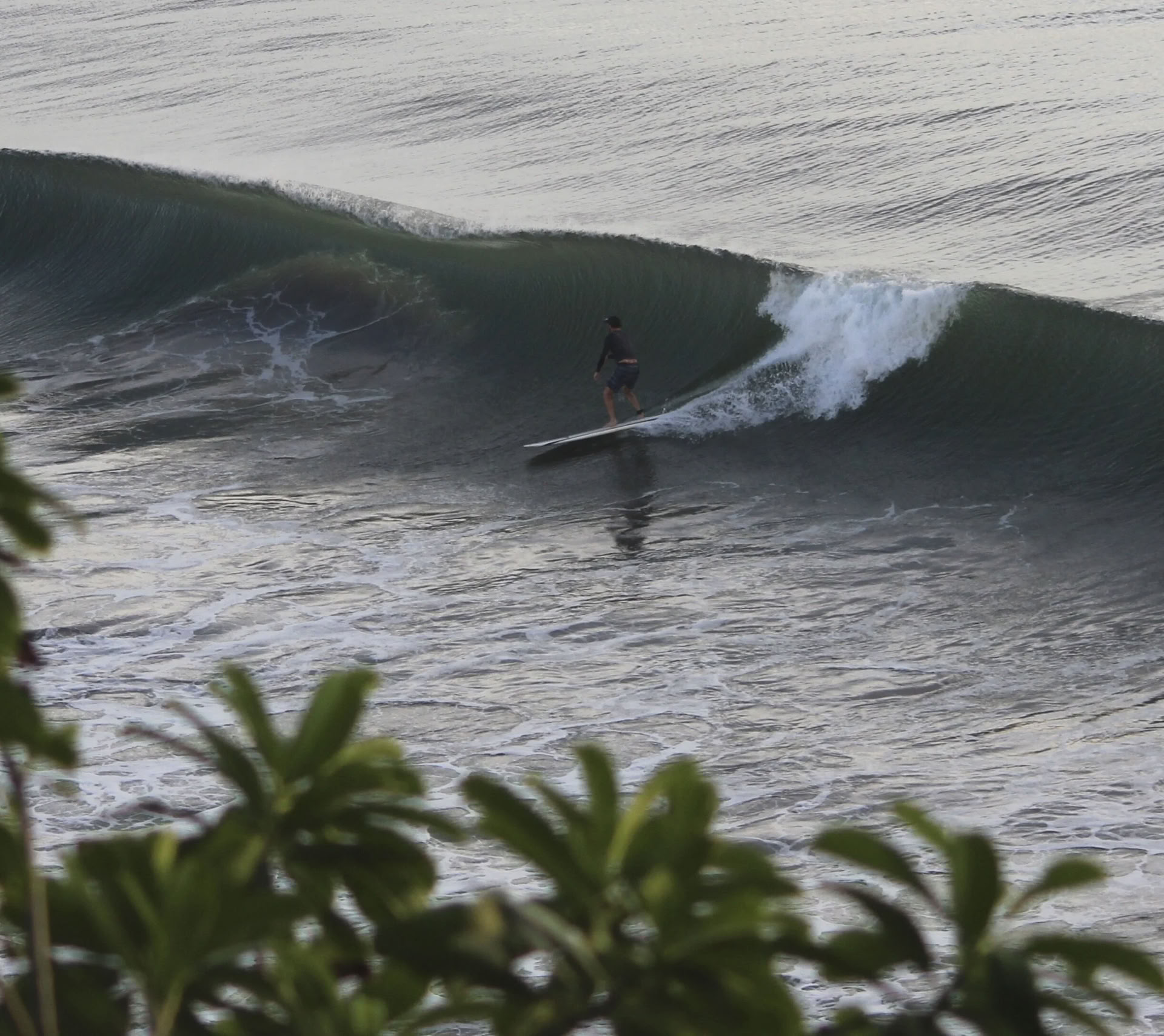 Immersion Breathwork + Surf