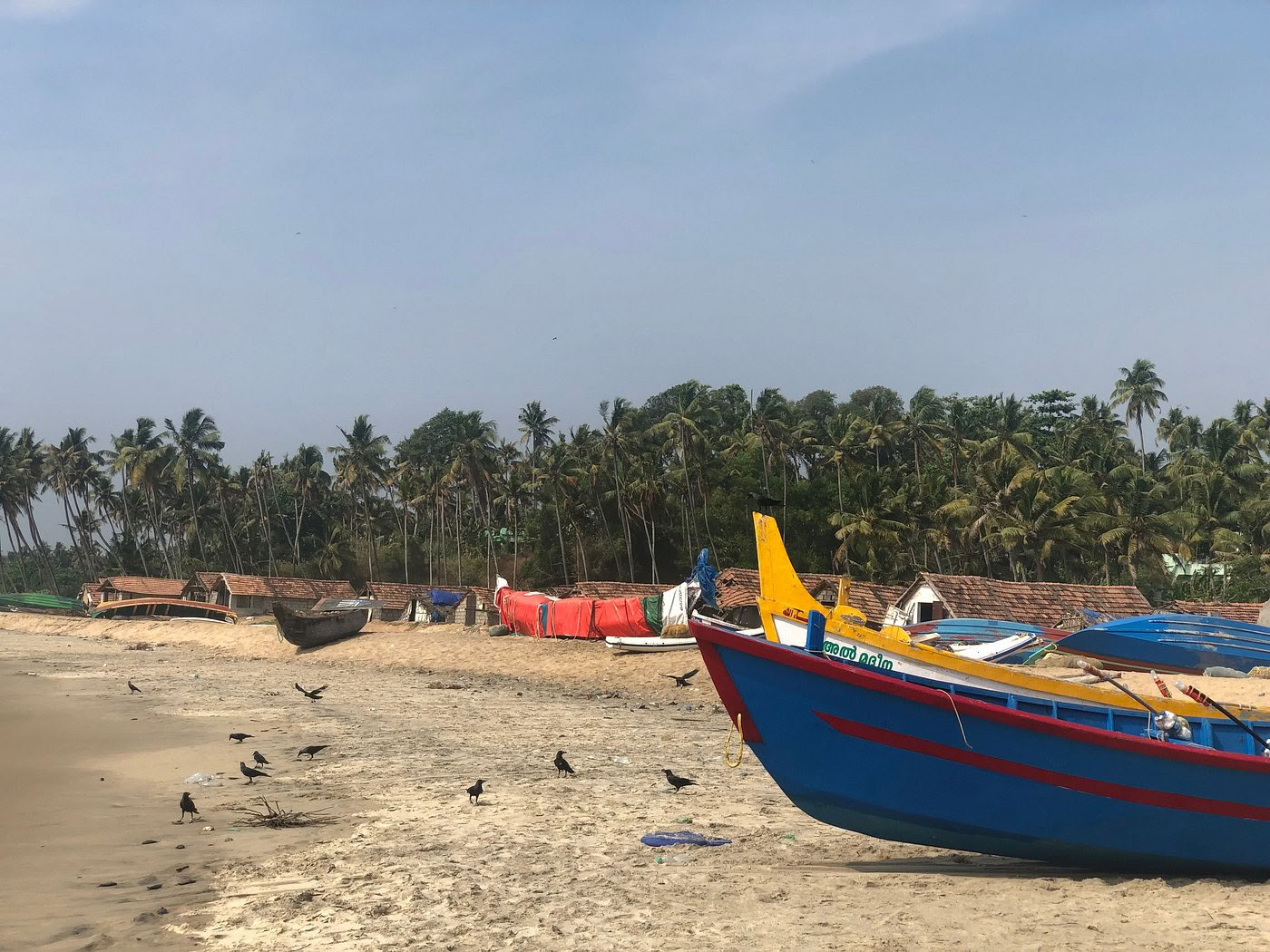 Entre l’océan et le silence : retraite de yoga et d’ayurvéda au cœur du Kerala, en Inde