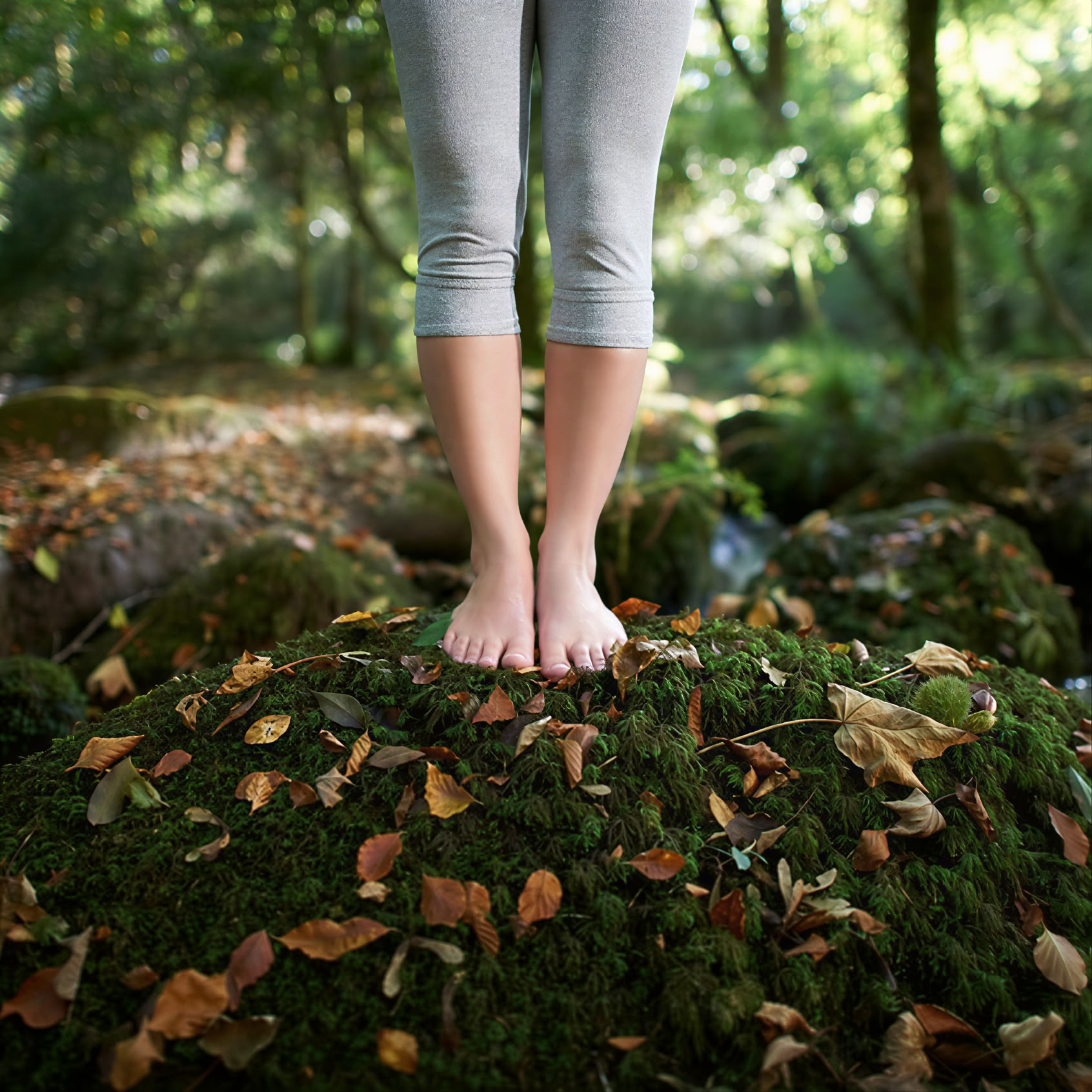 La retraite Reset en forêt