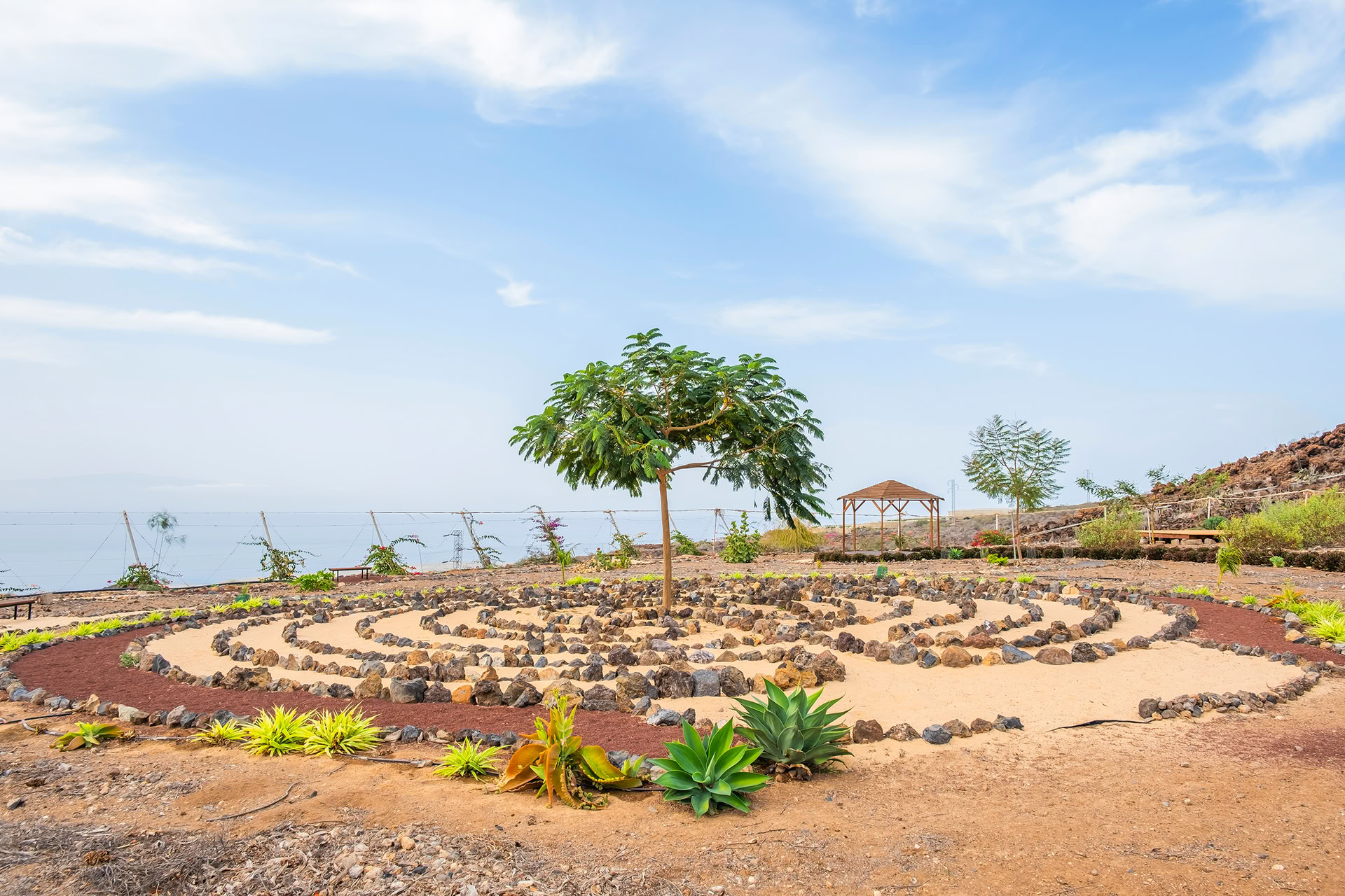 Tournée de méditation à Tenerife
