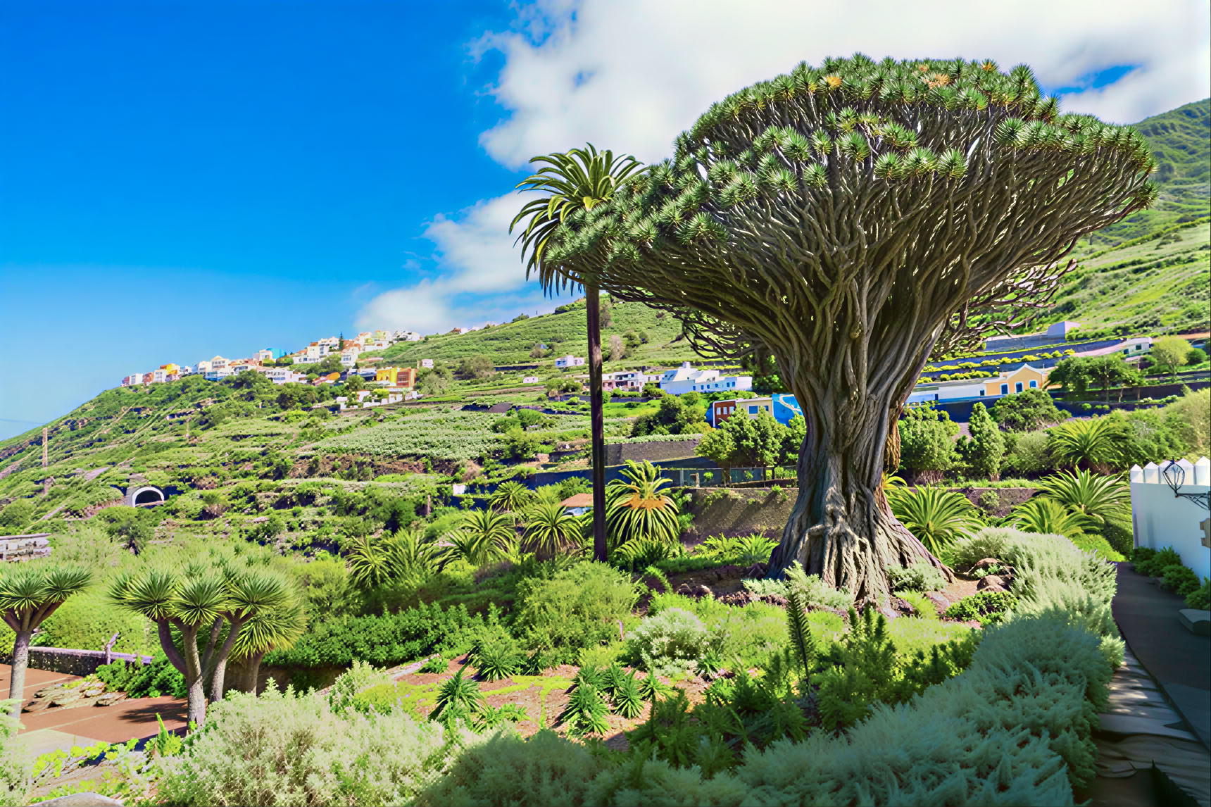 Tournée de méditation à Tenerife