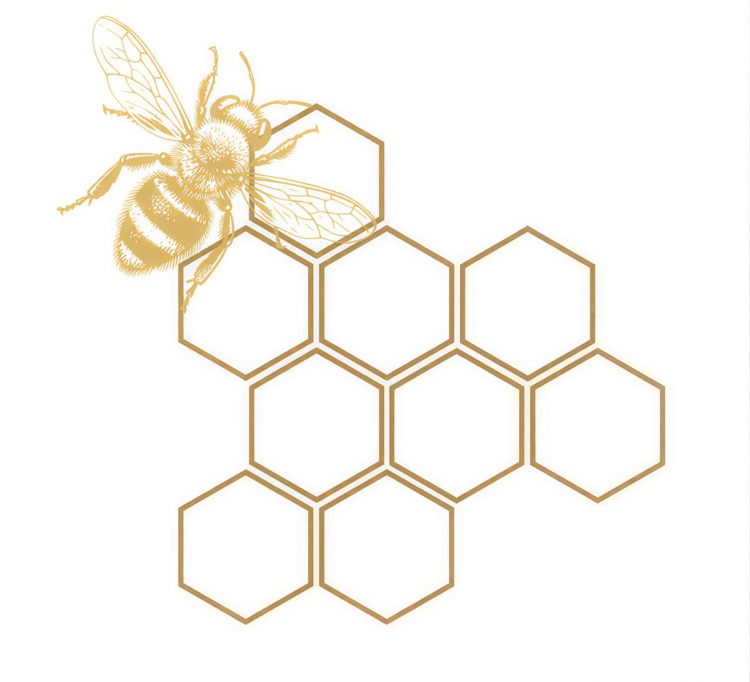 Ilumina VIP 1 mois - incubateur individuel de business spirituel et de marketing