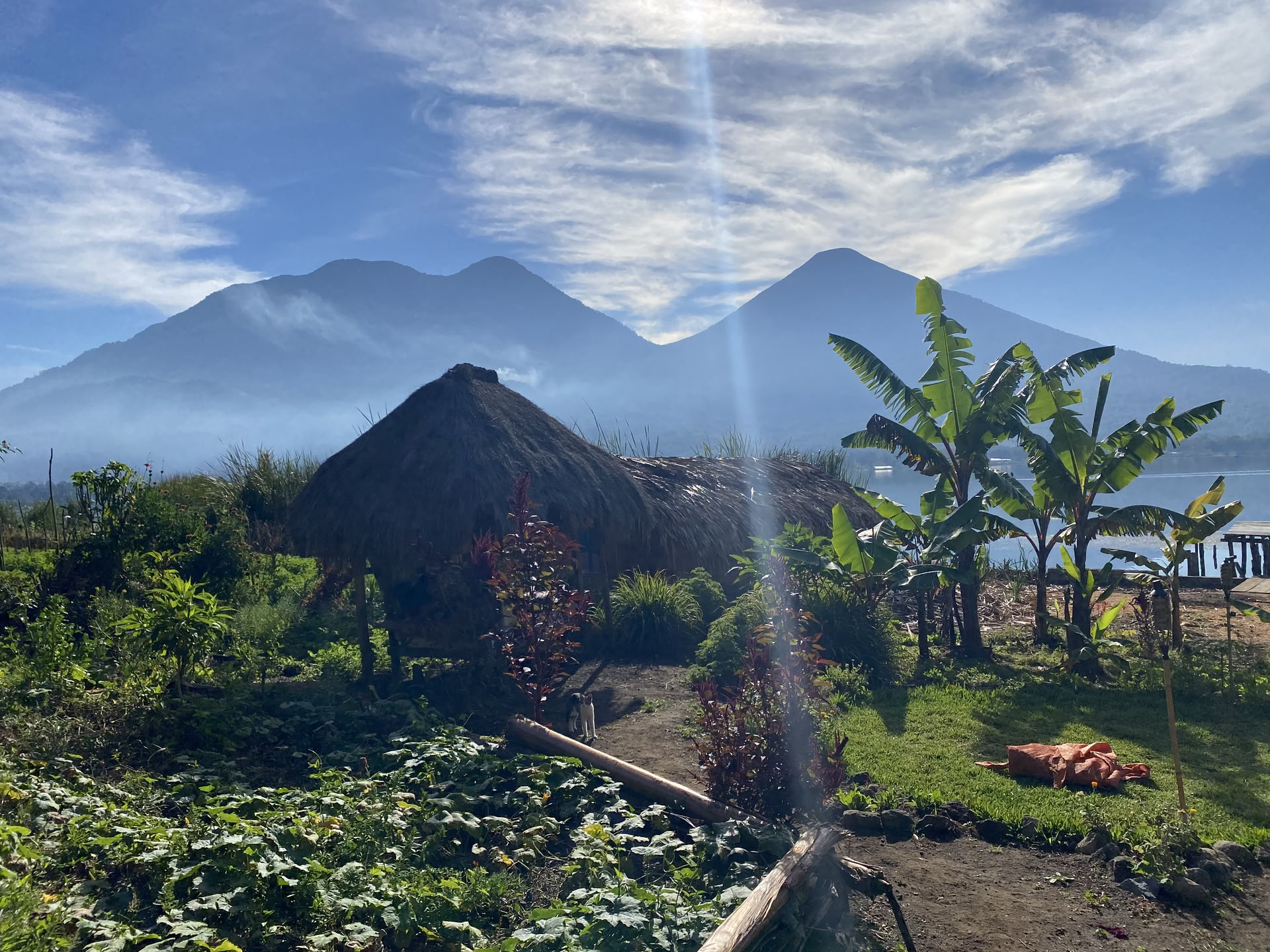 Retraite d’immersion au cacao