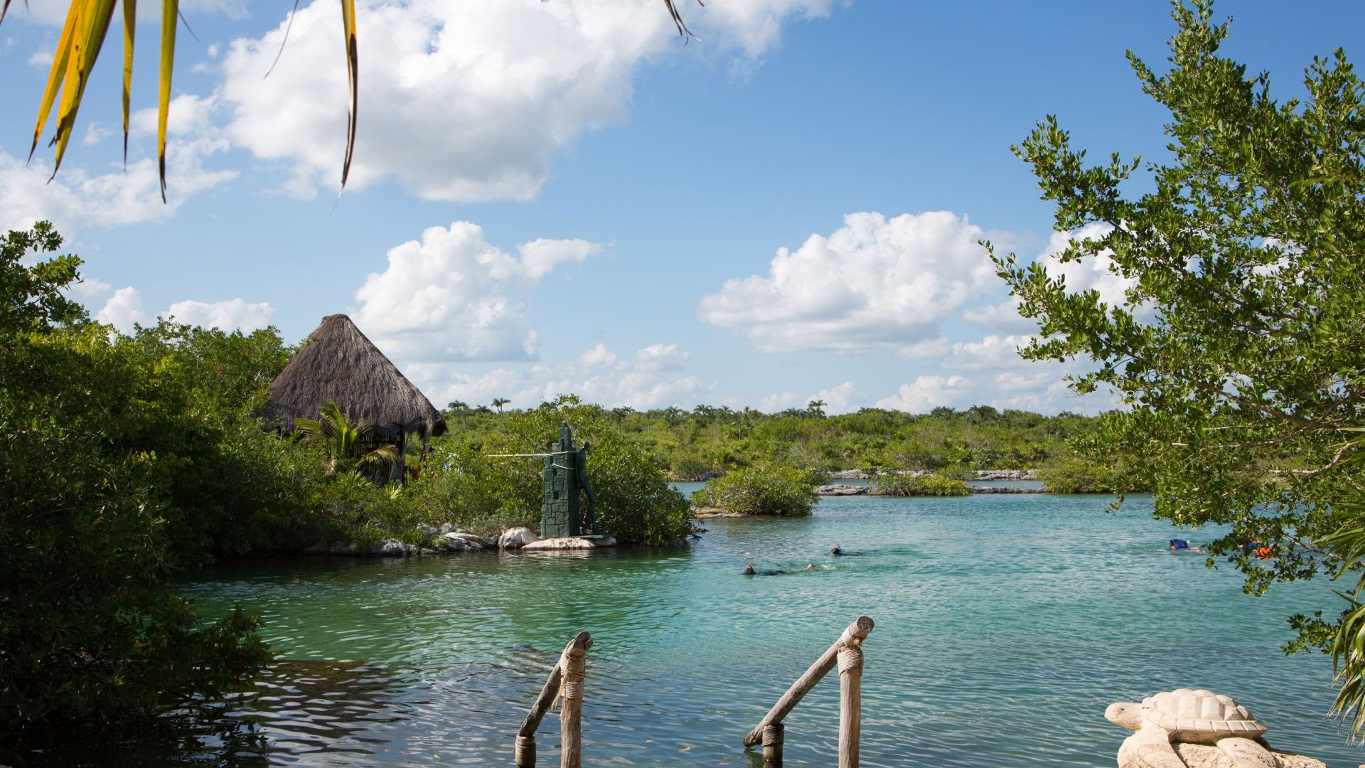 Retraite bien-être à Akumal : suite avec vue sur l’océan