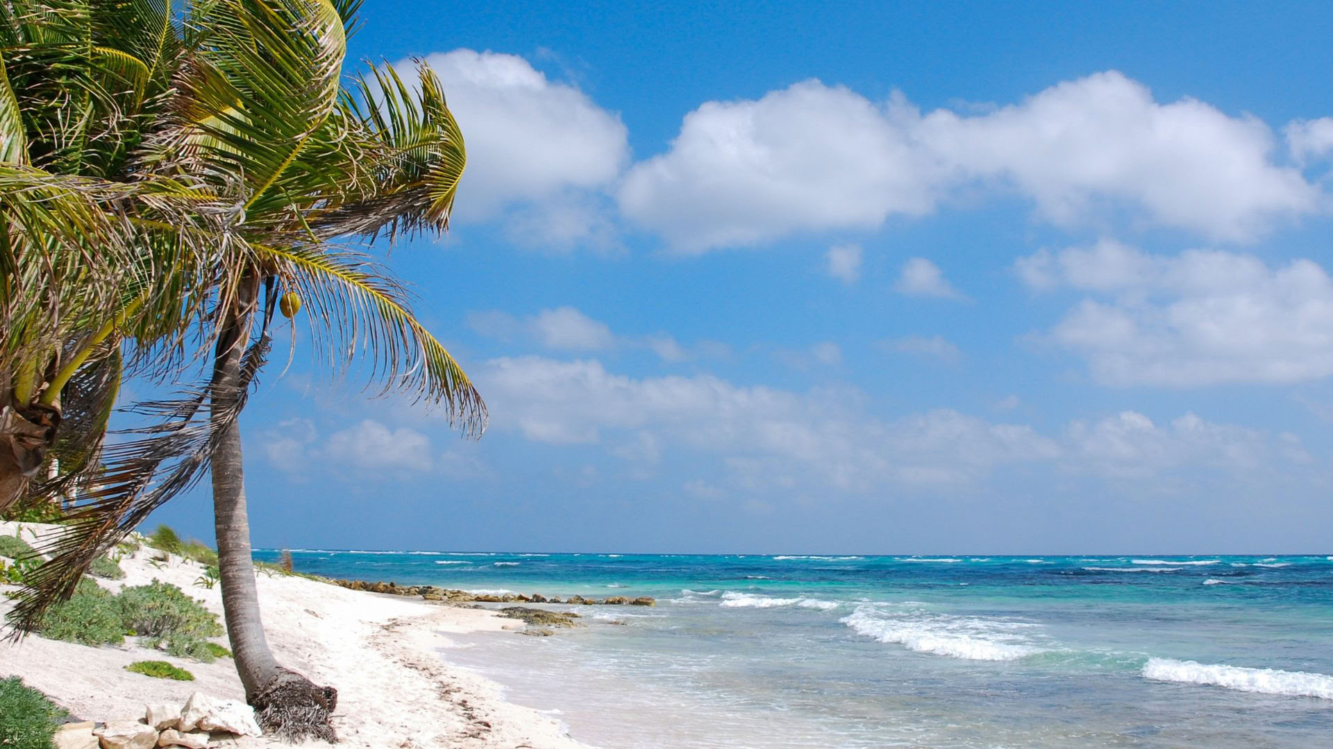 Retraite bien-être à Akumal : chambre avec salle de bains privative en occupation individuelle