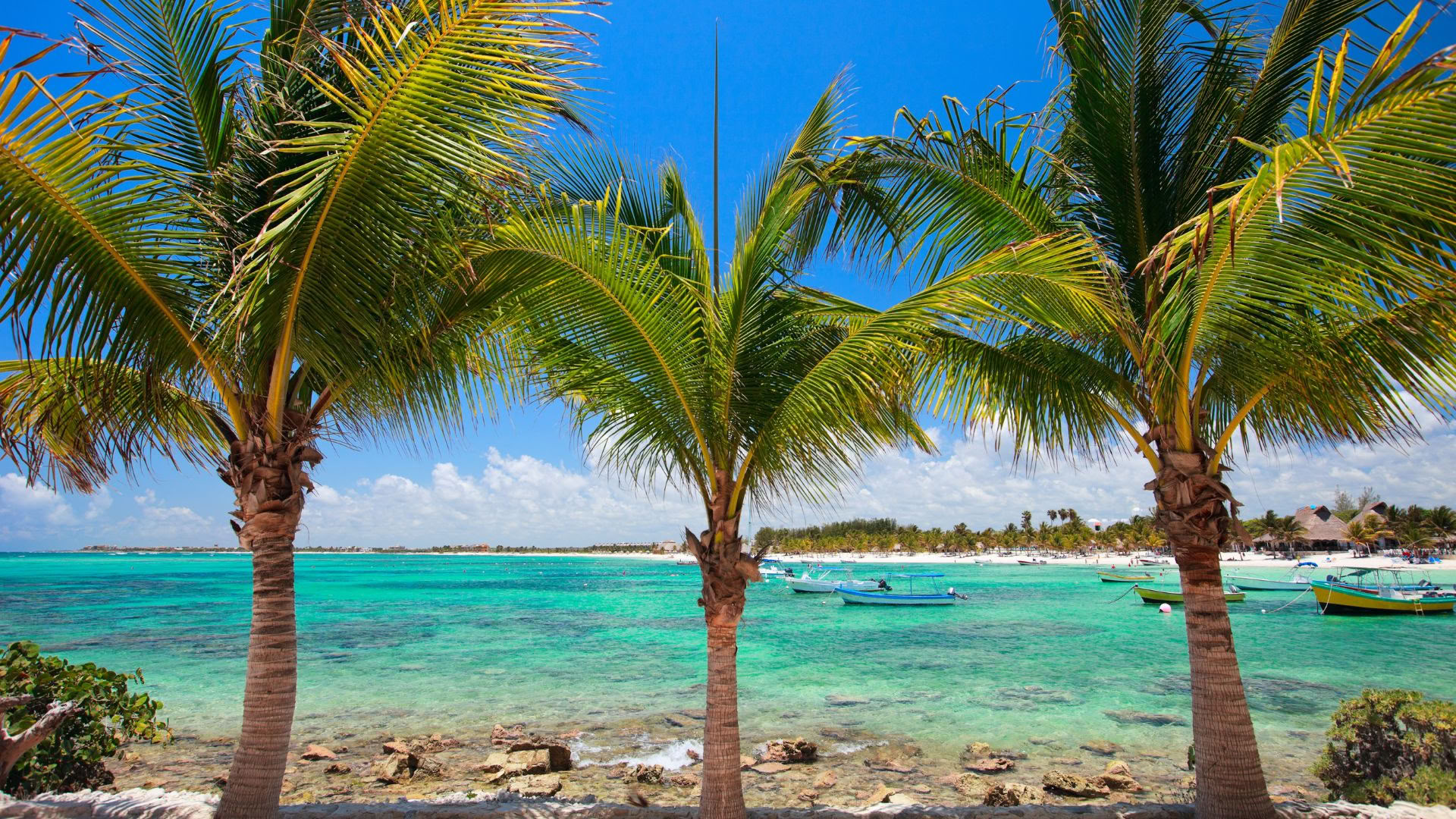 Retraite bien-être à Akumal : chambre avec salle de bains privative en occupation individuelle