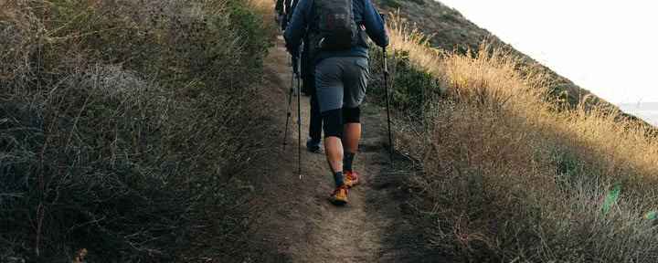Sentier Backbone en fleurs
