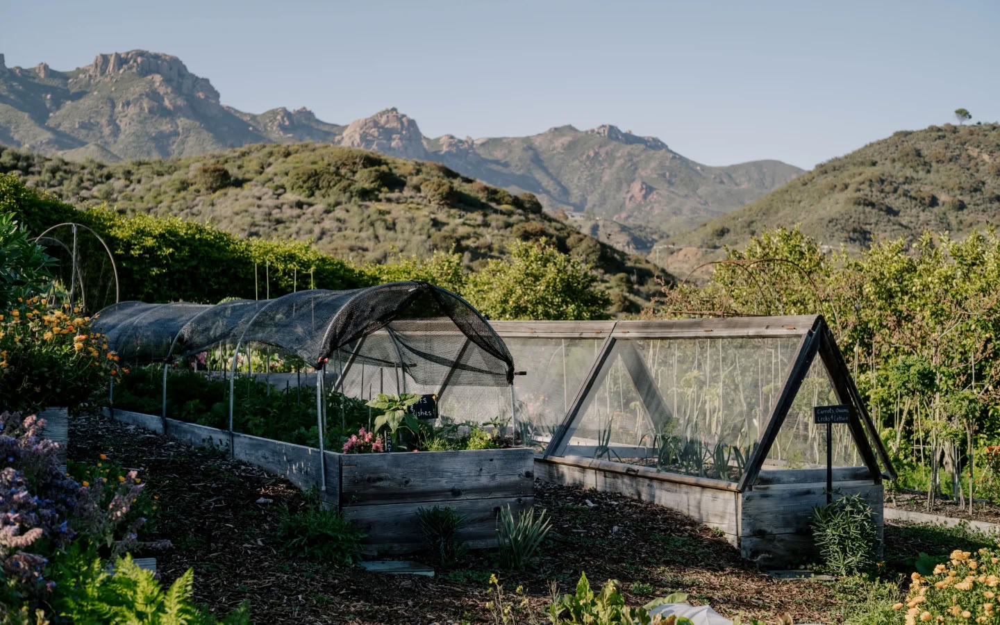 Voyage en groupe