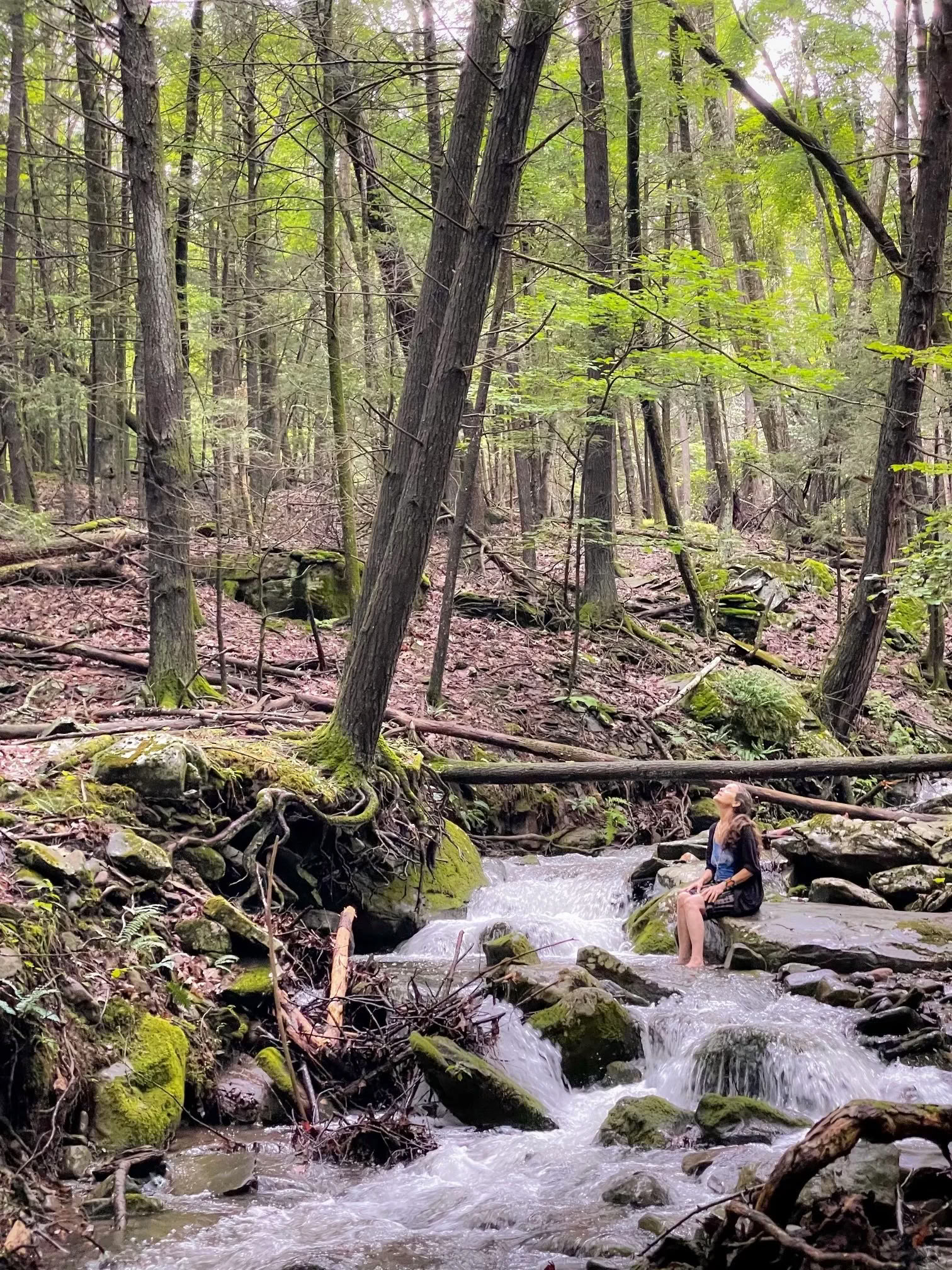 Rencontre des récoltes au N.E.S.T. avec la Hudson Valley Psychedelic Society — ESKFF NEST
