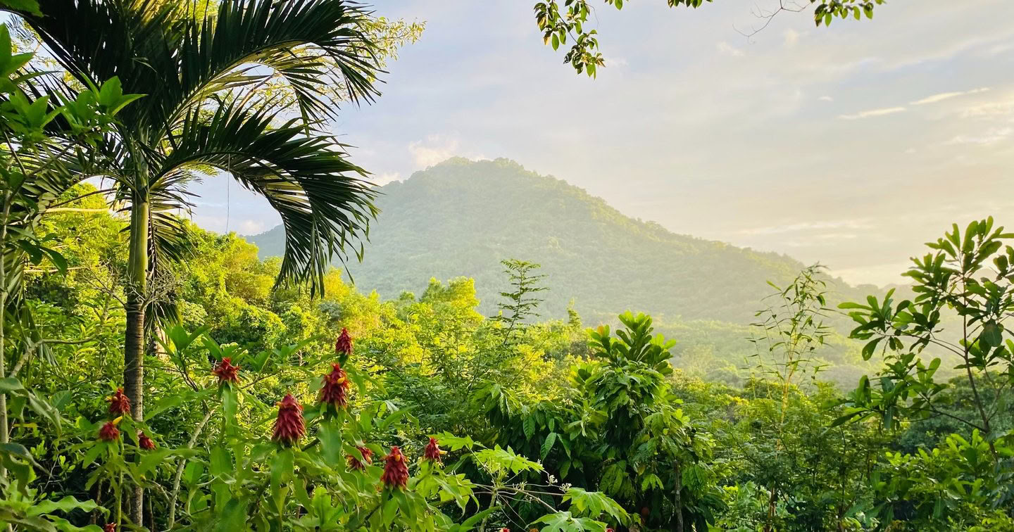 Respiration consciente