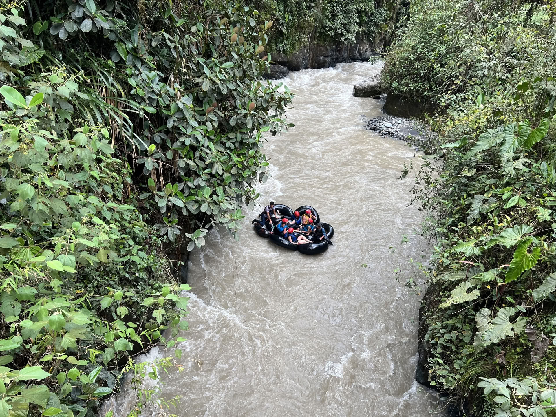 Voyage assisté à la psilocybine