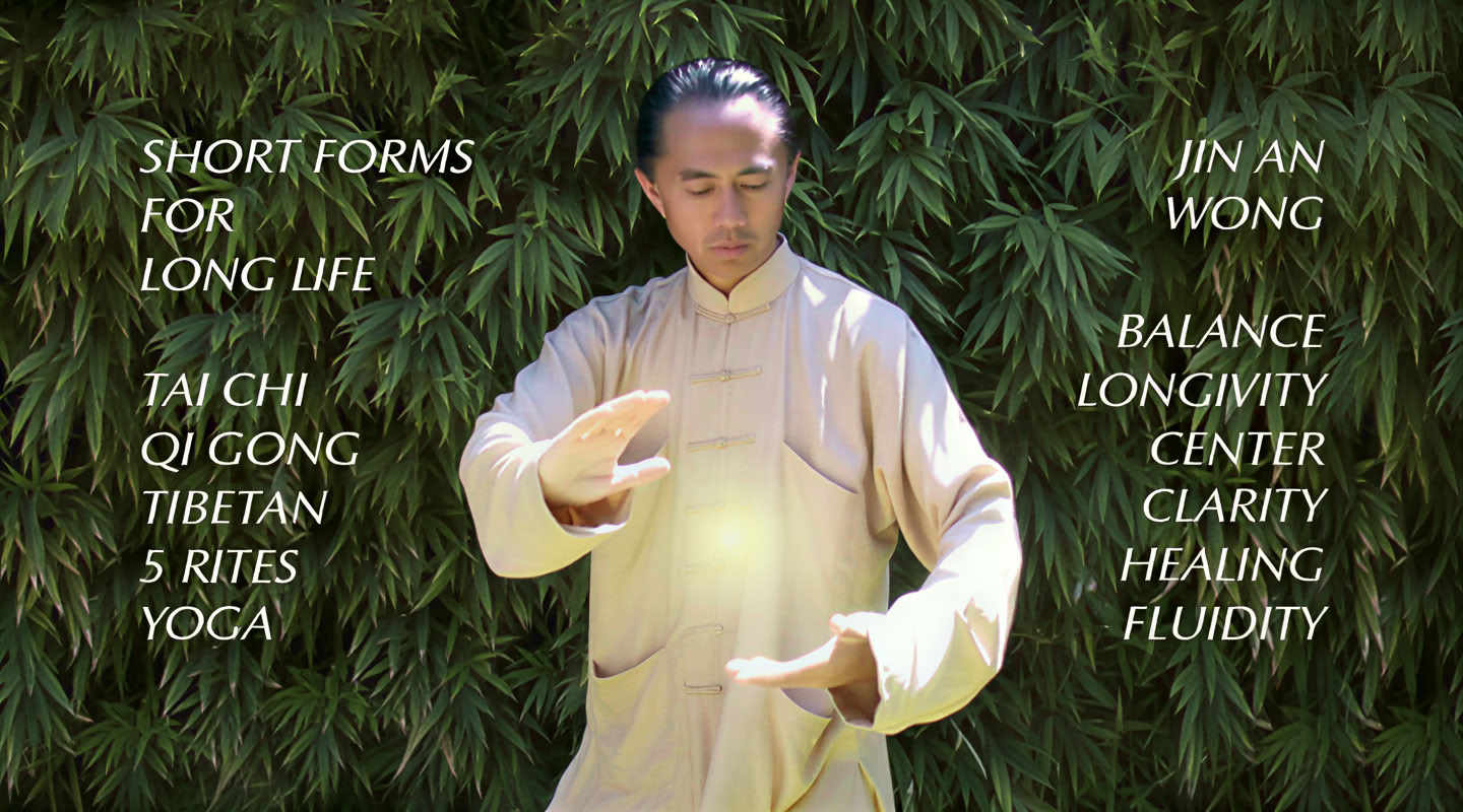 Tai chi tao : formes courtes pour une longue vie avec Jin An Wong