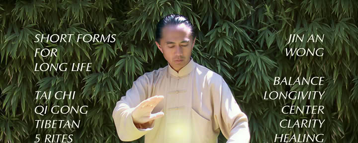 Tai chi tao : formes courtes pour une longue vie avec Jin An Wong