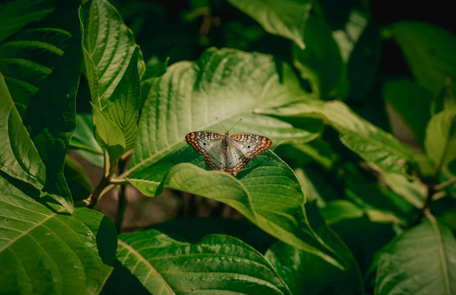Retraite de yoga en immersion dans la nature