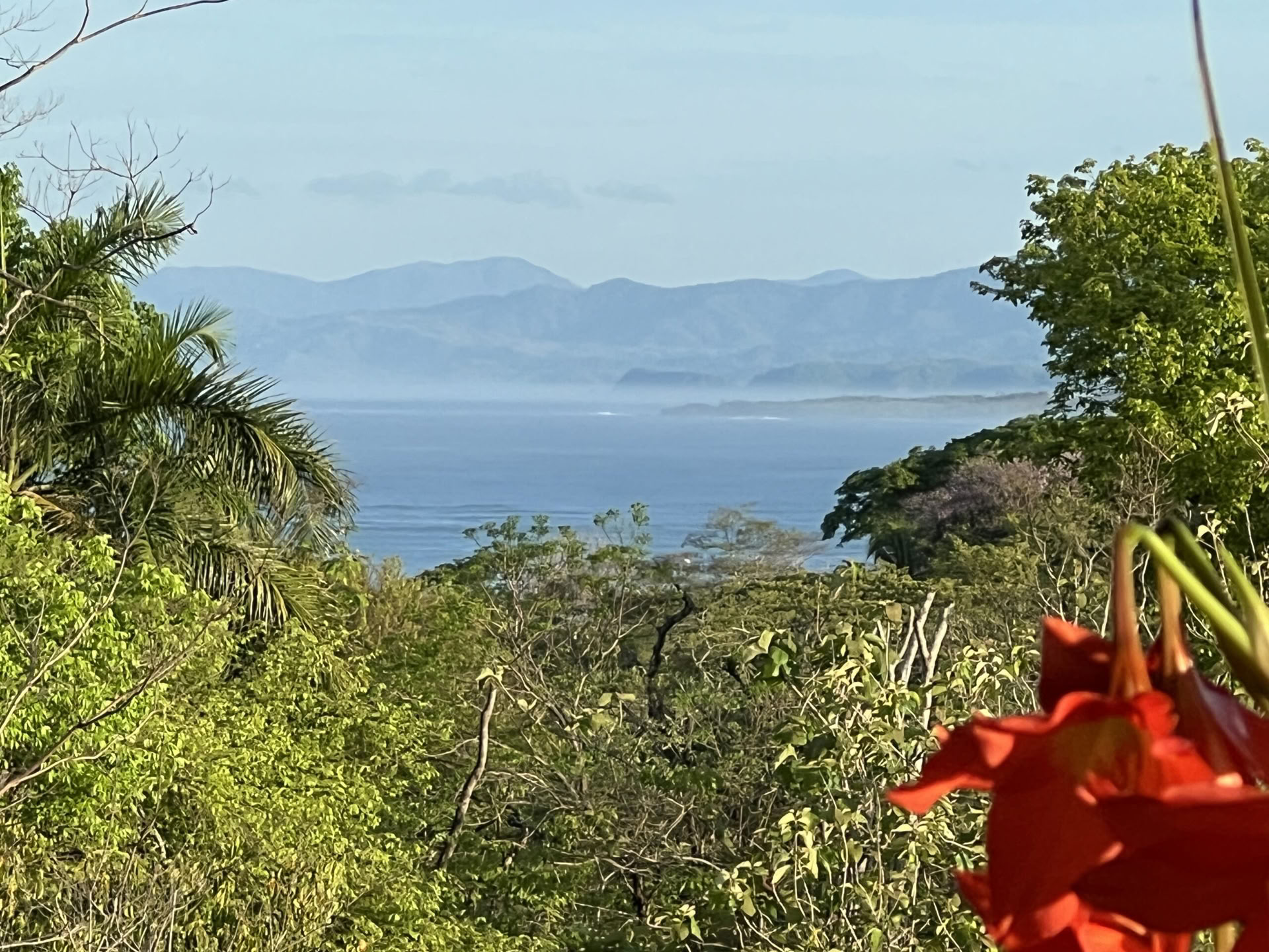 Retraite de yoga au Costa Rica
