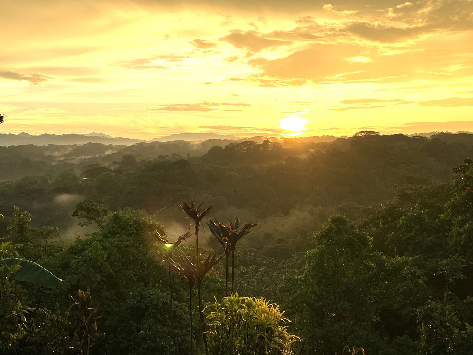 Retraite de yoga au Costa Rica