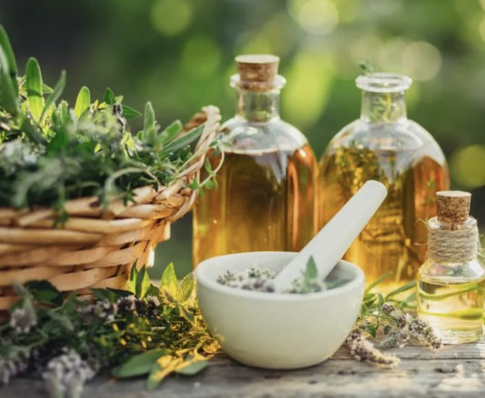 Explorer les options à base de plantes pour le bien-être