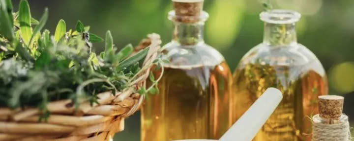 Explorer les options à base de plantes pour le bien-être