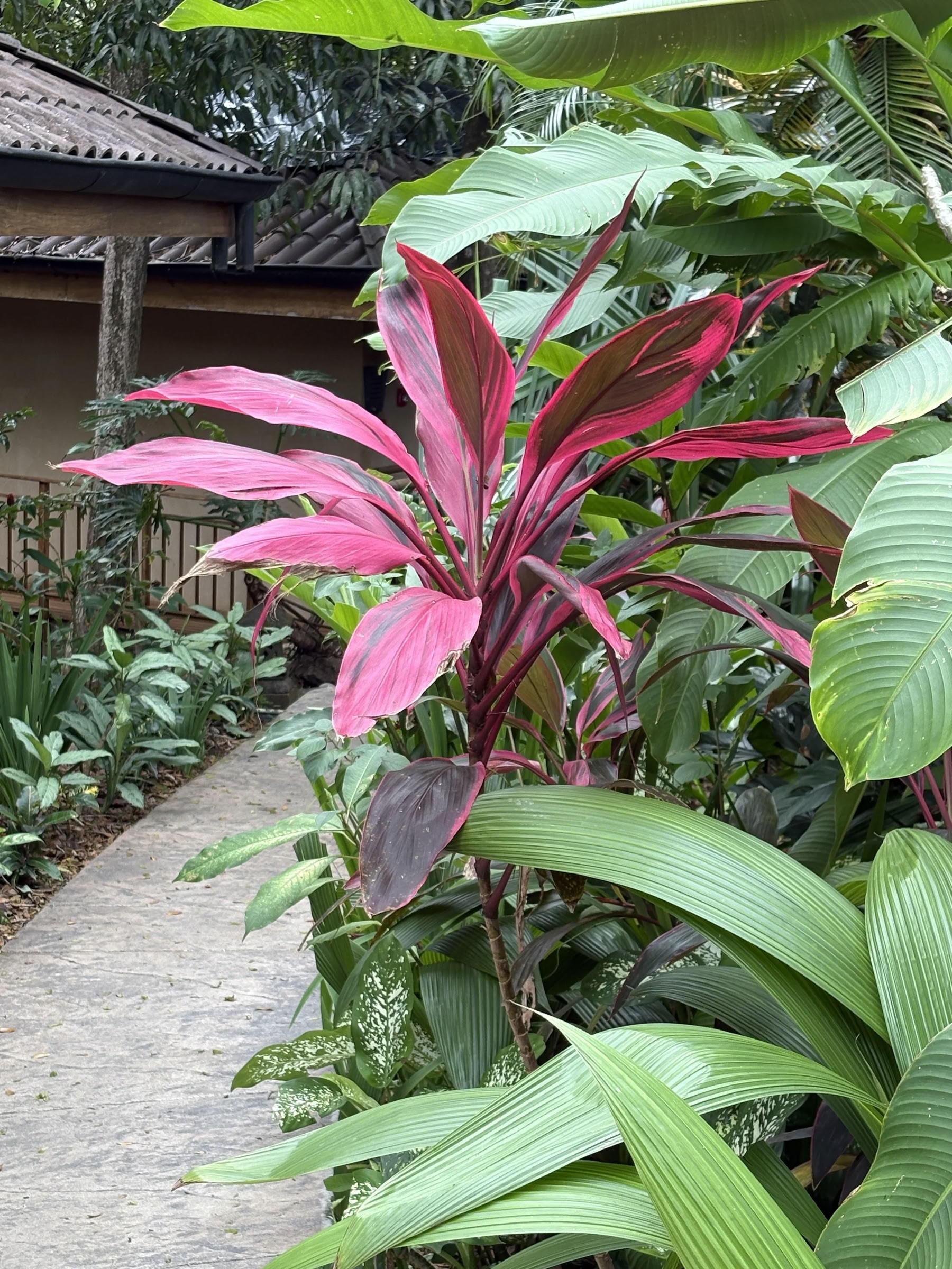 Retraite de janvier 2027 au Costa Rica