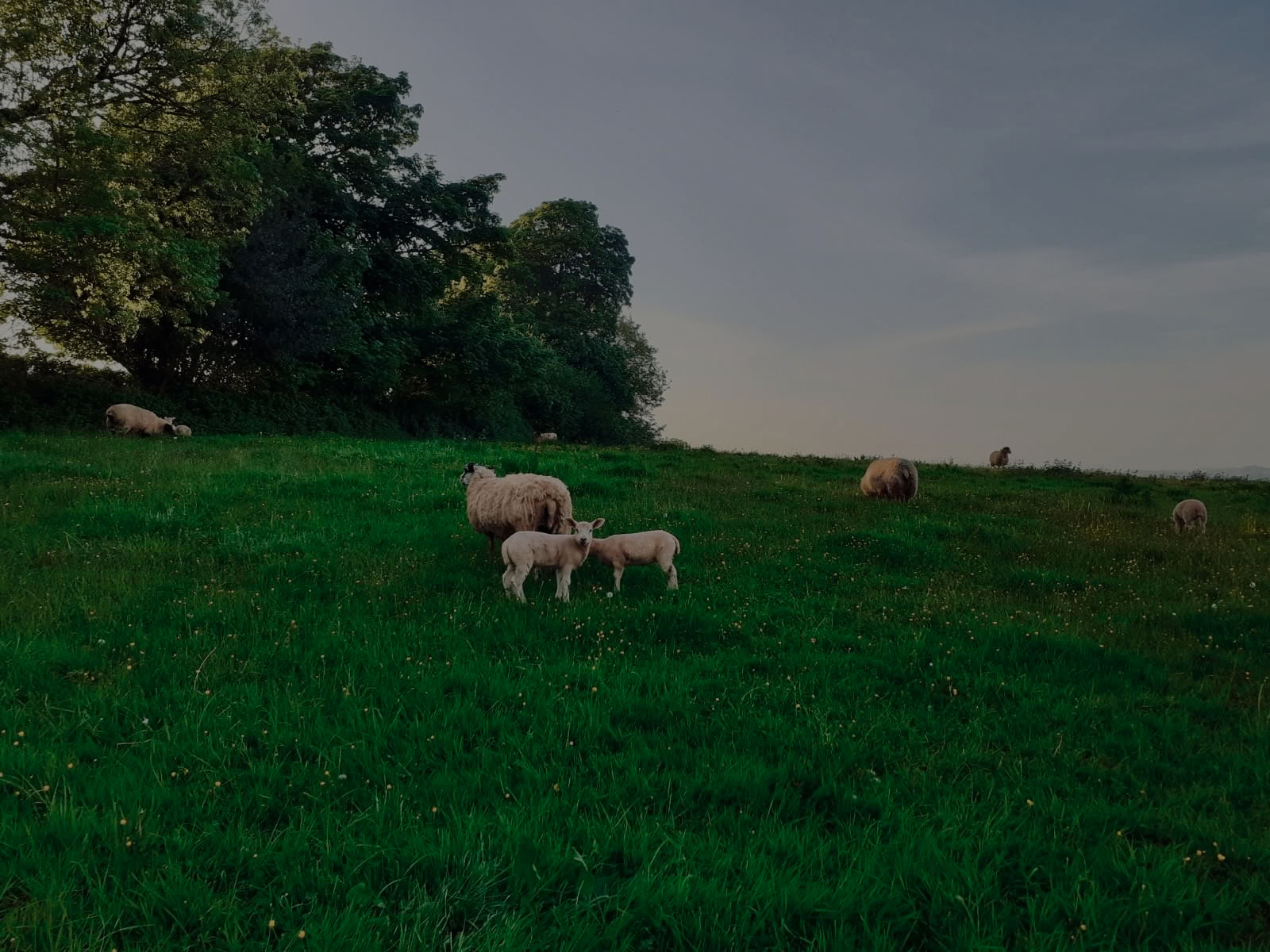Retraite Sharpham Trust