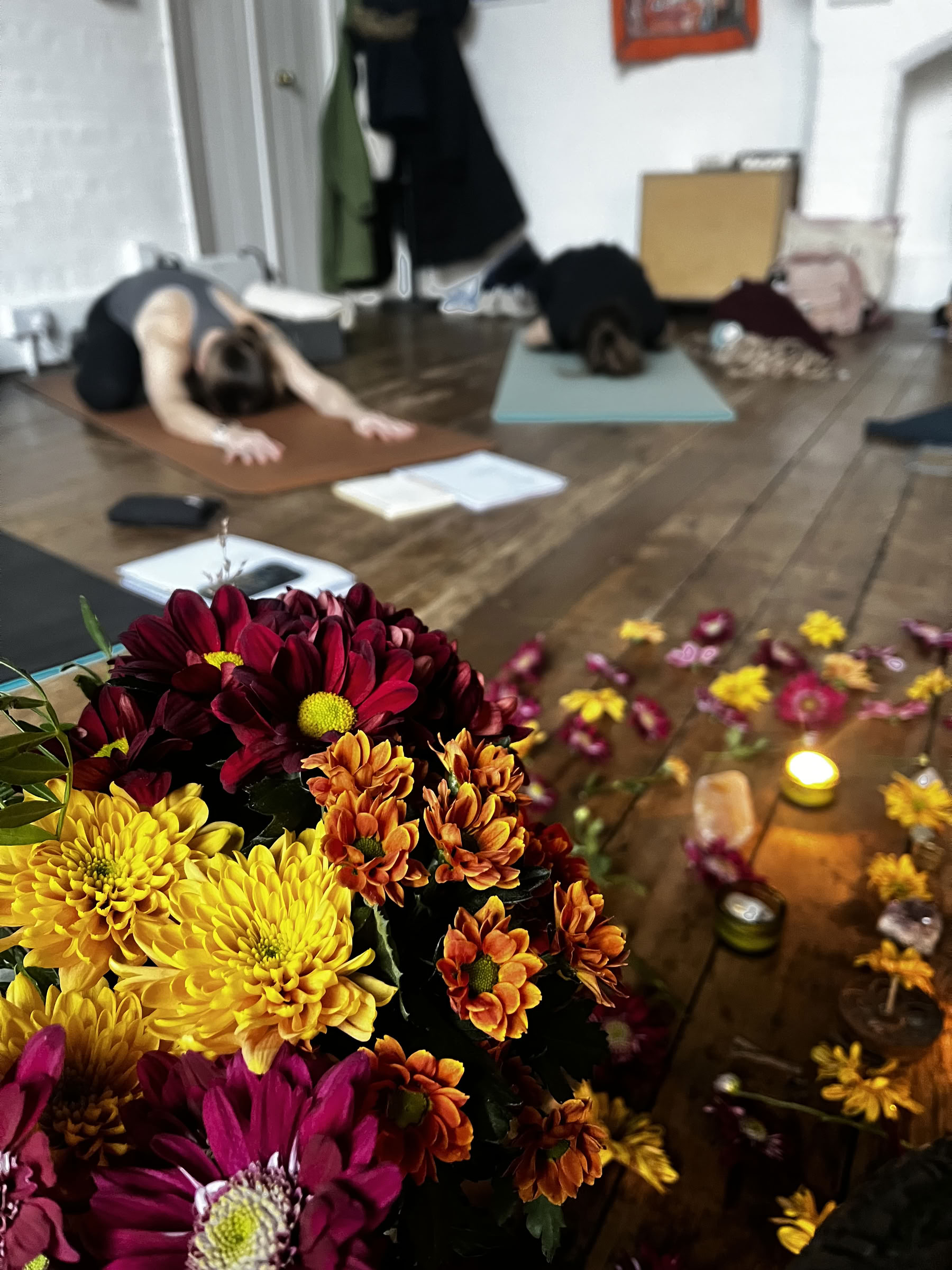 Formation de professeurs de Yin Yoga de 30 heures