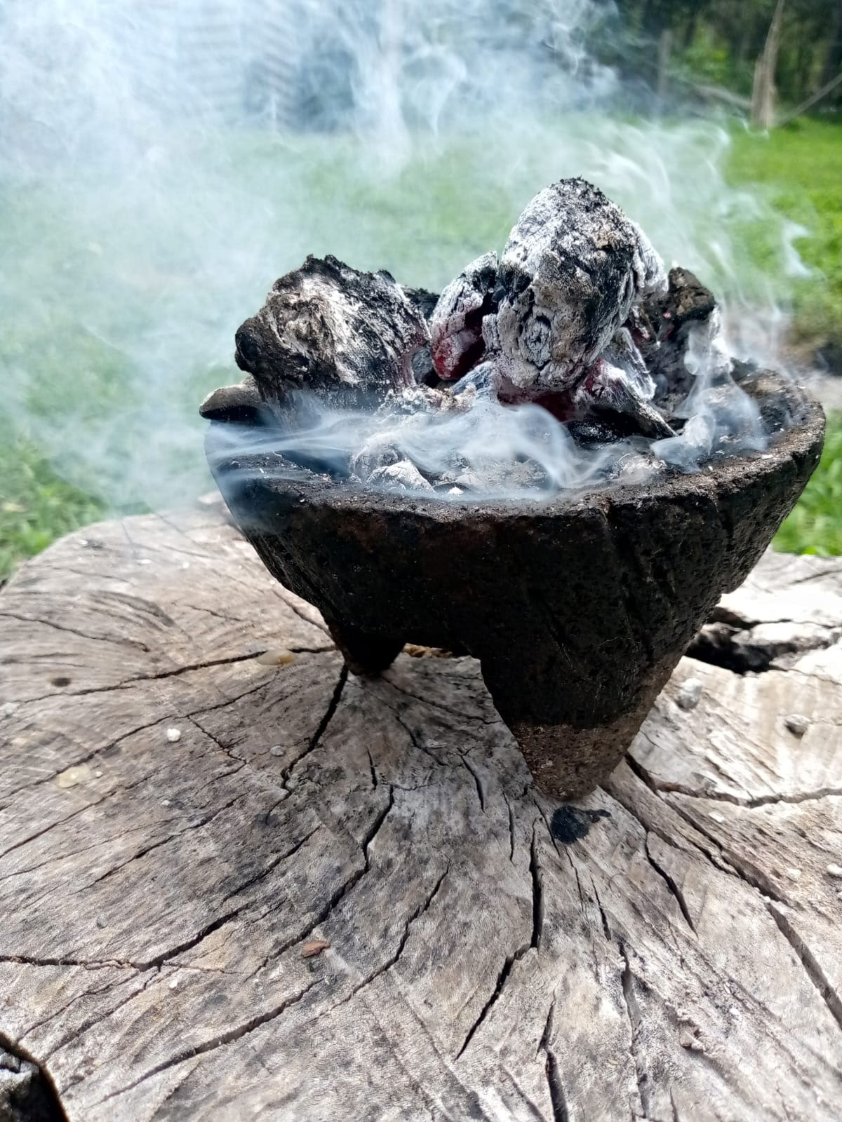 Cérémonie privée d’ayahuasca / San Pedro