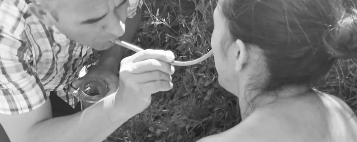 Cérémonie privée d’ayahuasca / San Pedro