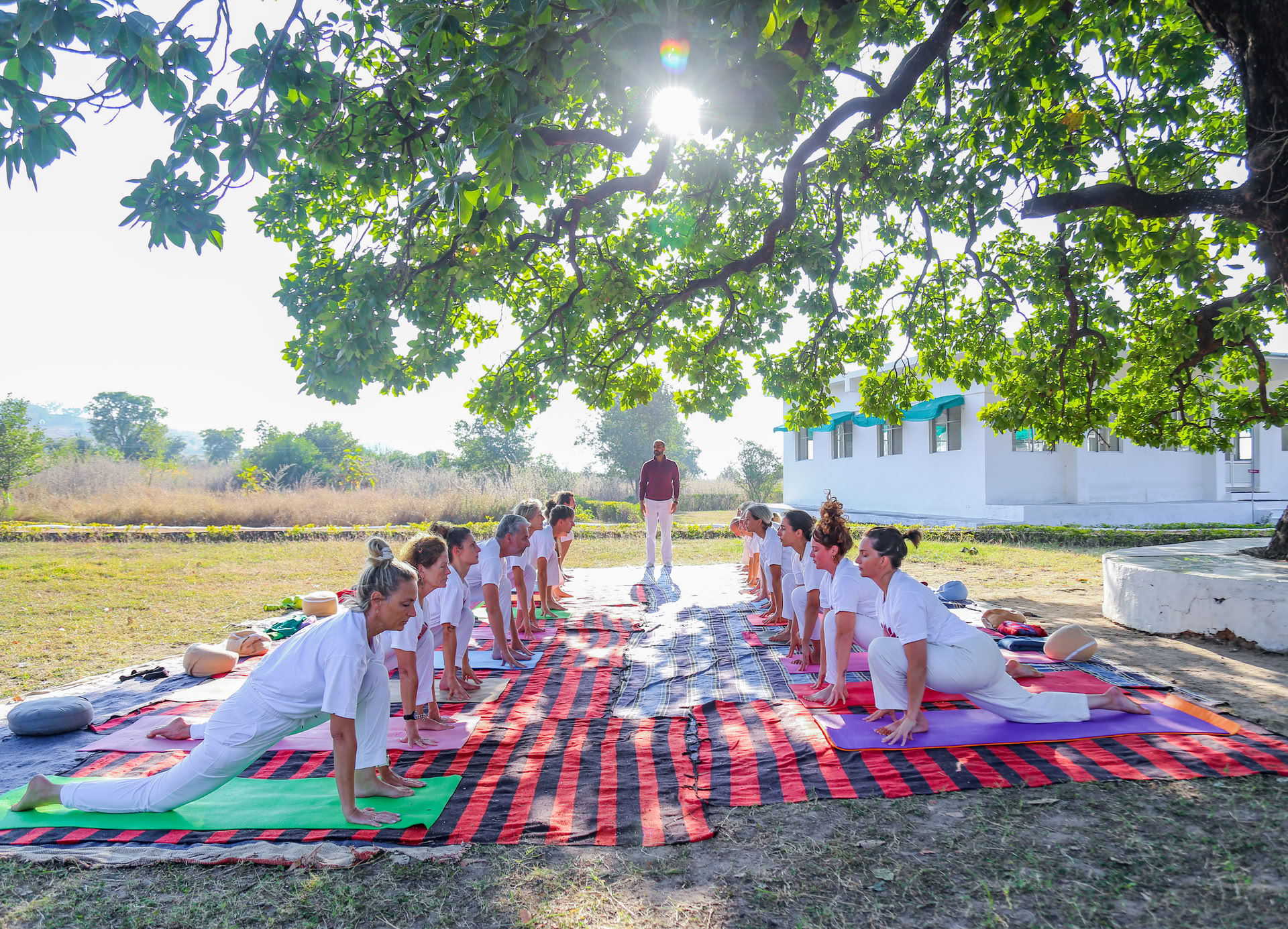Apprenez le yoga en Inde grâce à une formation de professeur de 200 heures
