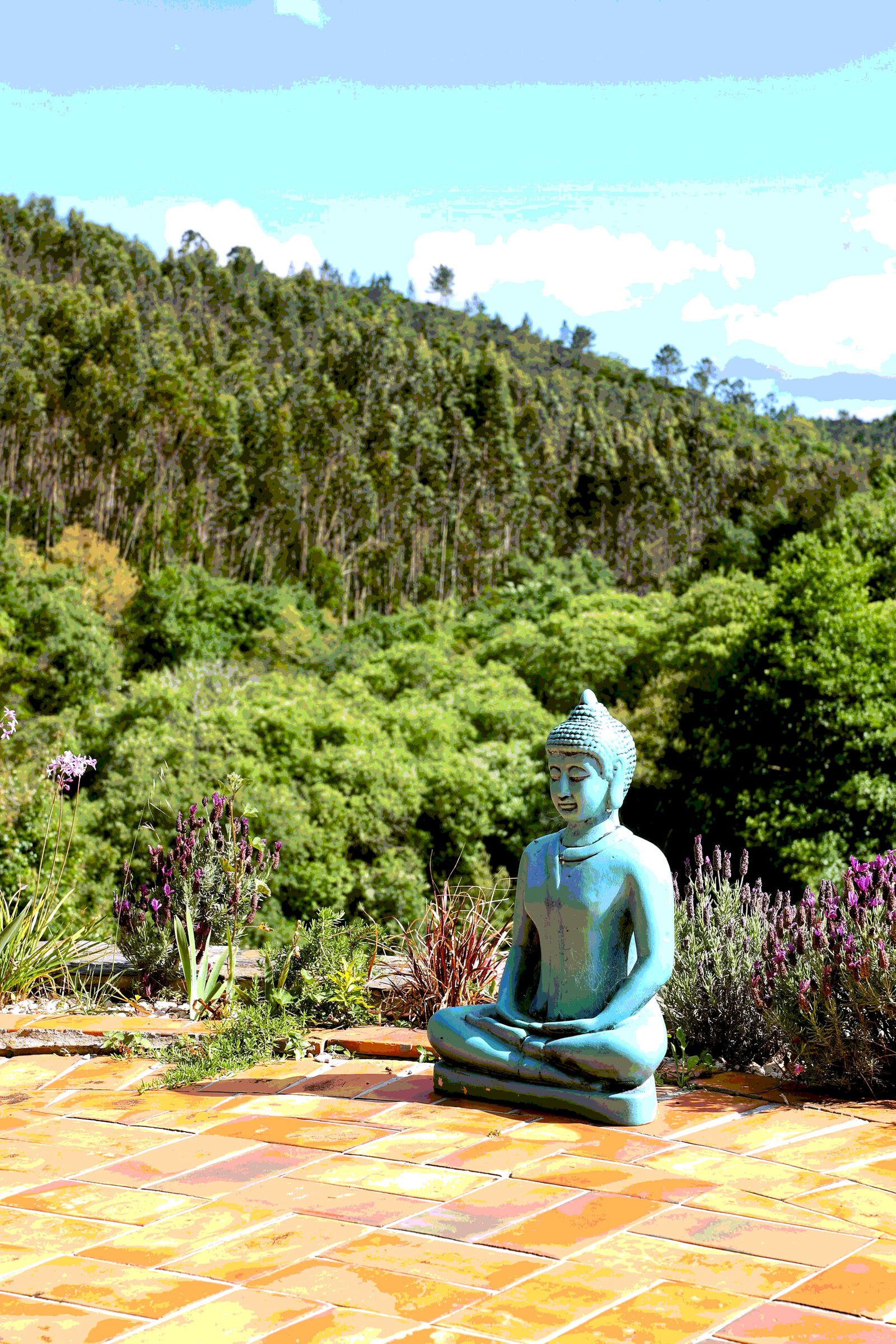 Retraite de yoga et bhakti hOMe