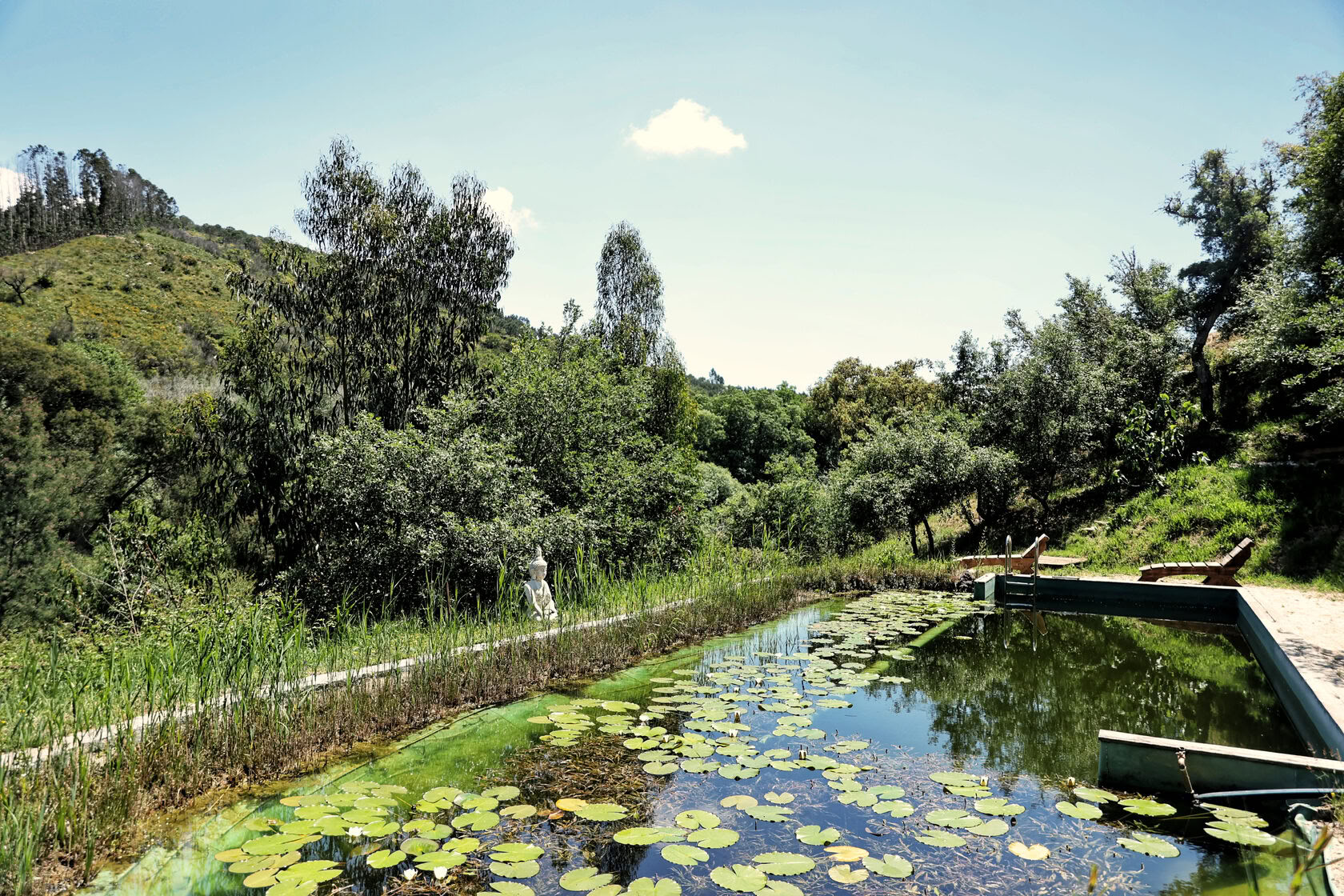 Retraite de yoga et bhakti hOMe