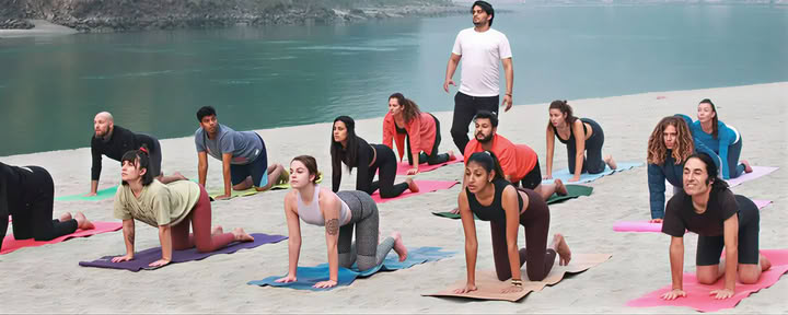 Formation traditionnelle de professeur de yoga de 500 heures