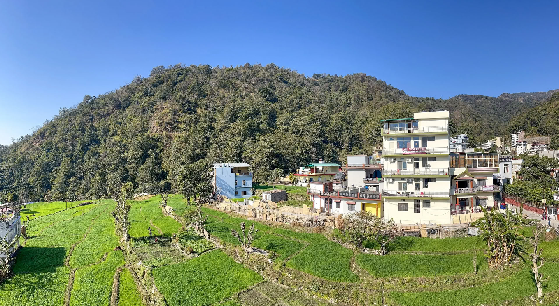 Formation de professeur de yoga kundalini de 300 heures à Rishikesh