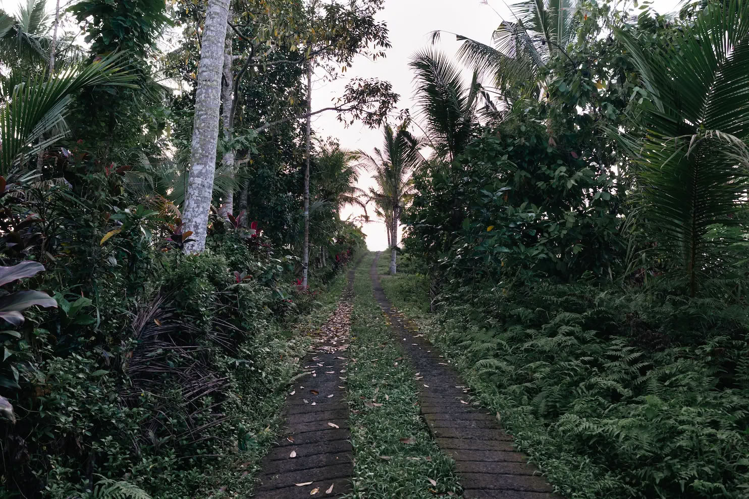 Retraite de 5 jours de yoga dans la jungle, de guérison par le son et créative à Bali