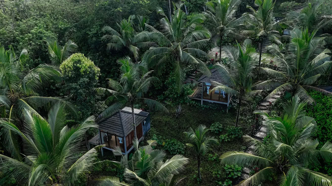 Retraite de 8 jours dans la jungle, temple, sonothérapie et art à Bali