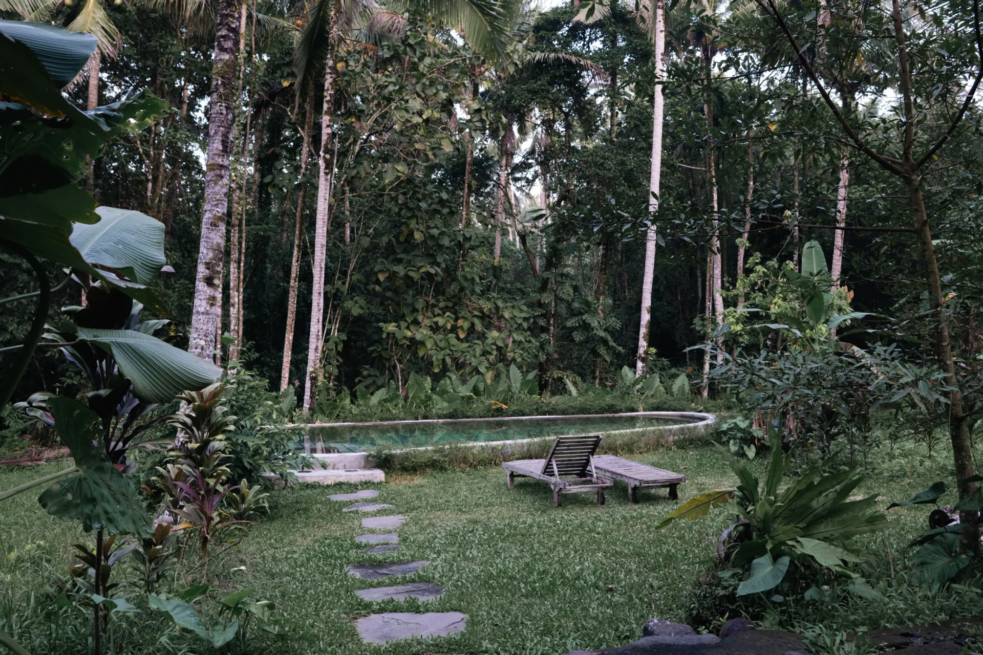 Retraite privée dans la jungle