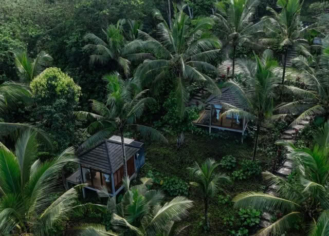 Retraite privée dans la jungle