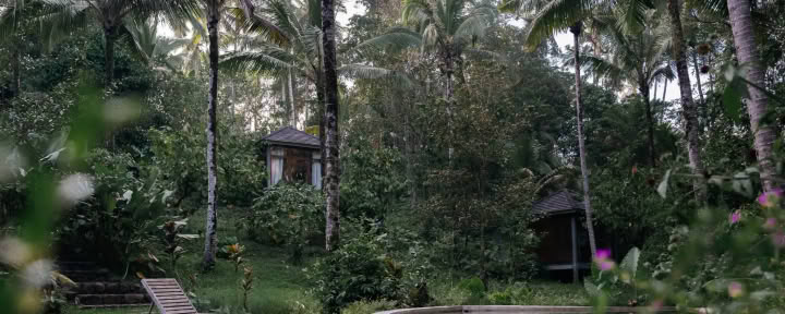 Retraite privée dans la jungle