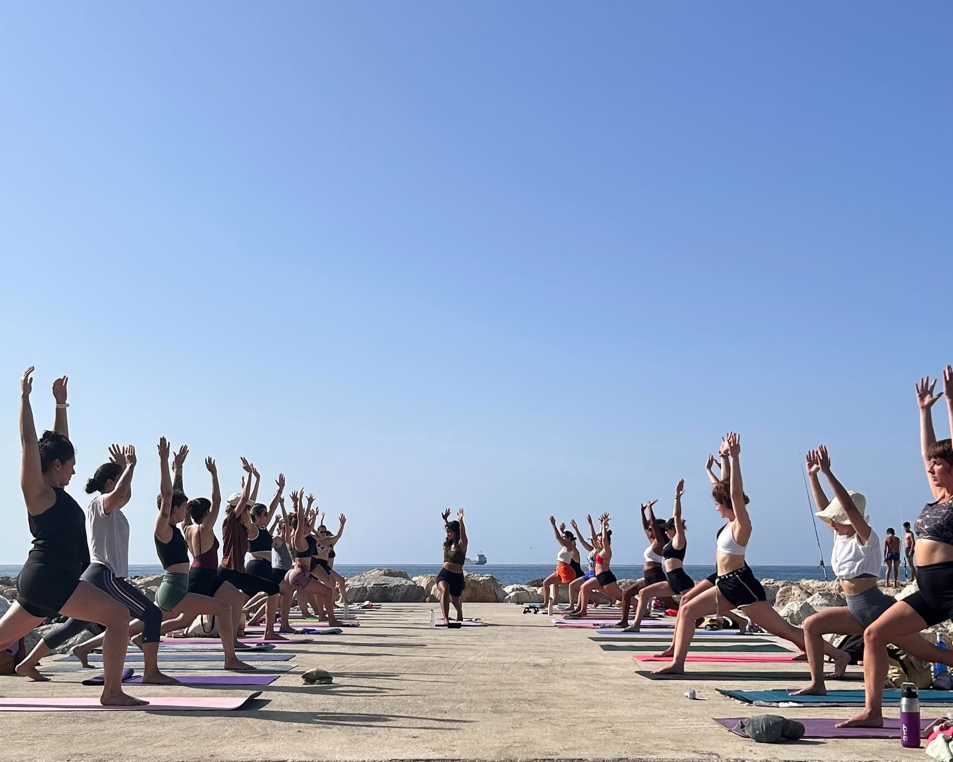 Vinyasa : flux félin au studio Kauma