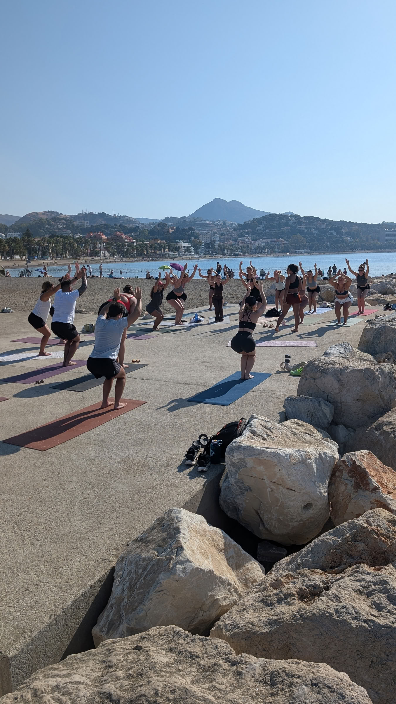Vinyasa : flux félin au studio Kauma