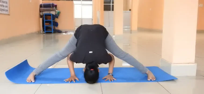 Formation de professeur de yoga Hatha de 100 heures à Rishikesh – du 1er au 14 janvier