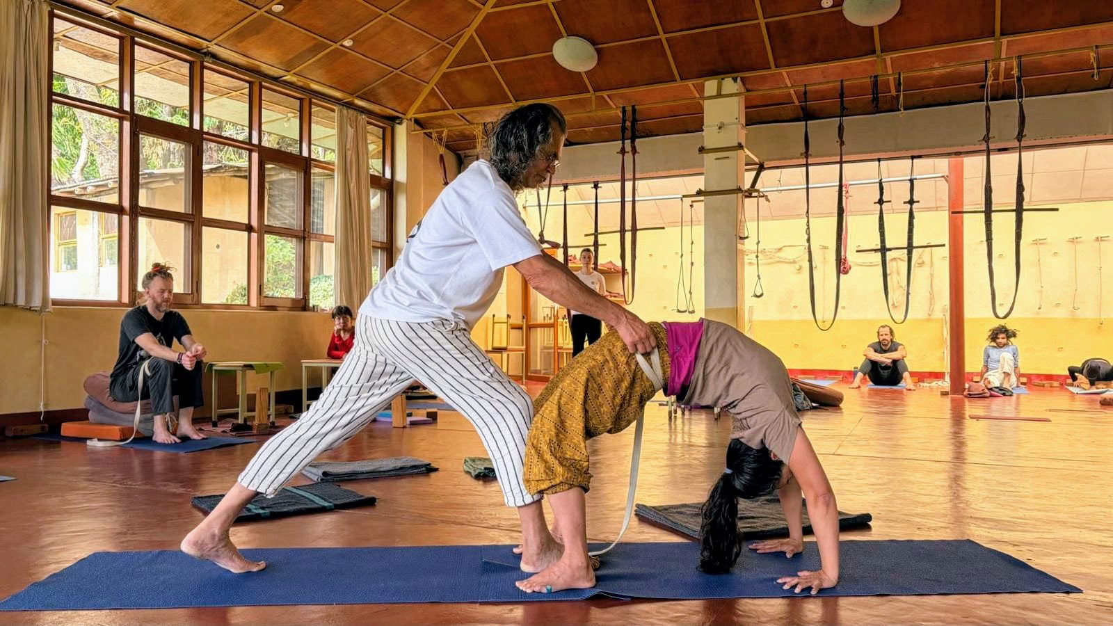 Cours intensif de yoga de 160 heures à Dharamshala