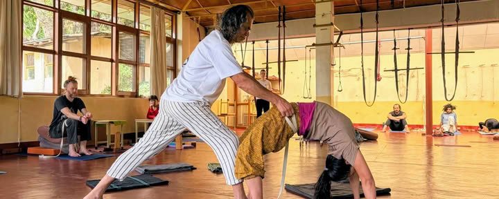 Cours intensif de yoga de 160 heures à Dharamshala